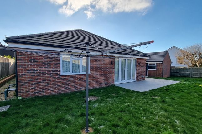 Detached bungalow for sale in Claire Gardens, Clanfield, Waterlooville