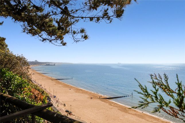 Beach From Garden