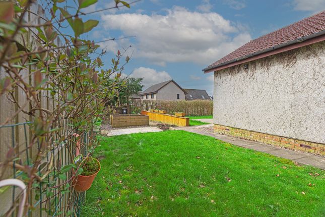 Detached bungalow for sale in St Serfs Road, Crook Of Devon, Kinross