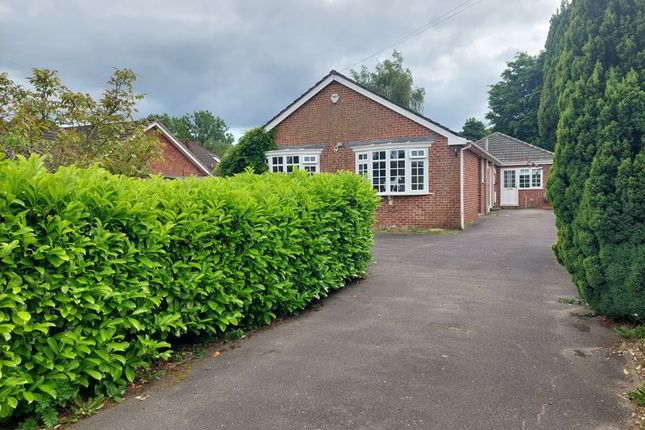 Thumbnail Bungalow for sale in Blandford Road, Wimborne