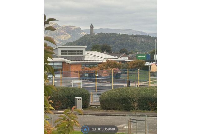 Stirling photo 5
