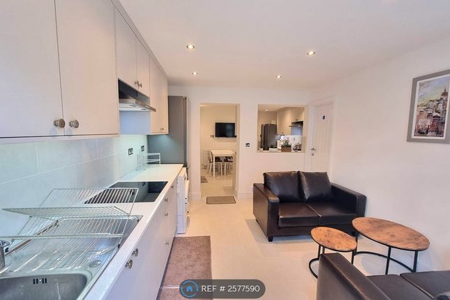 Extended Kitchen / Living Area