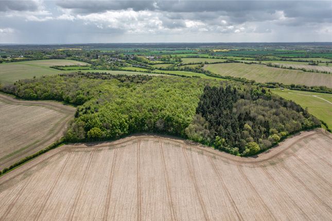 Thumbnail Land for sale in Sewards End, Saffron Walden, Essex