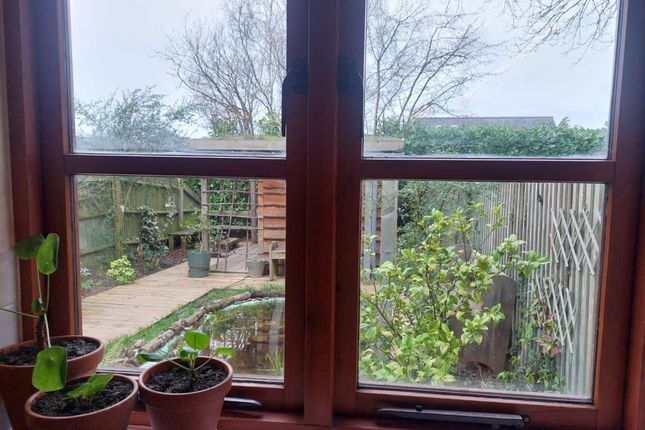 View From Kitchen Window