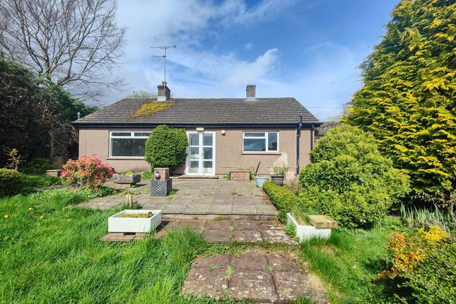 Thumbnail Bungalow to rent in Orchard Bungalow, Little Salkeld, Penrith
