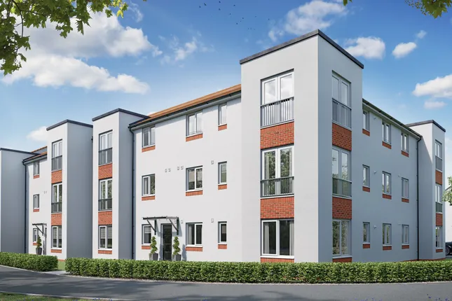 Persimmon Homes - Burgh Gate