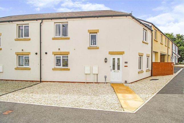 Thumbnail Terraced house to rent in Taylor Crescent, Westward Ho, Bideford