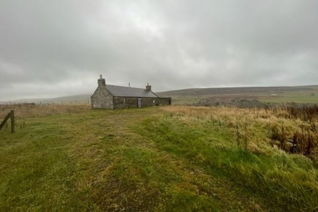 Crofters Cottage, Crofters Cottage, Latheron photo 2