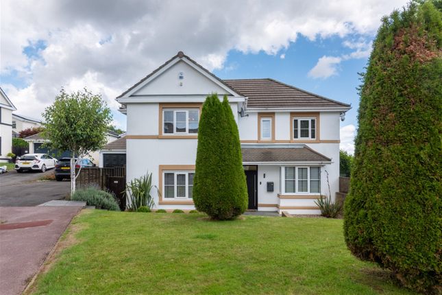 Thumbnail Detached house for sale in Maes Y Rhiw Court, Greenmeadow, Cwmbran