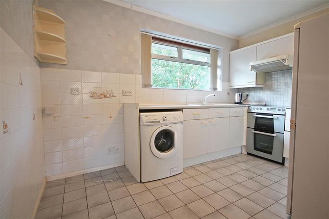 48, Raymond Avenue, Canterbury photo 4