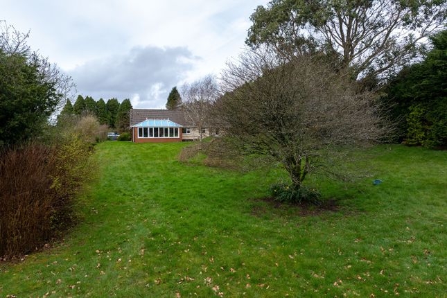 Detached bungalow for sale in Creuddyn Bridge, Lampeter