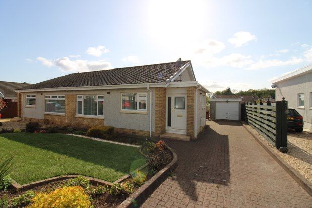 Thumbnail Bungalow to rent in Raillies Avenue, Largs