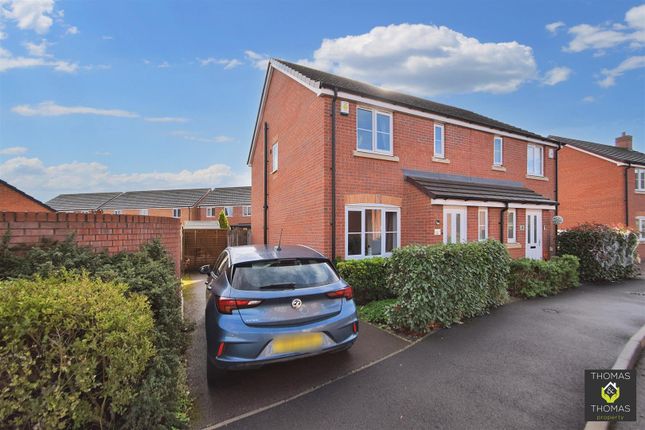 Dsc_0132  Copy 2.Jpg