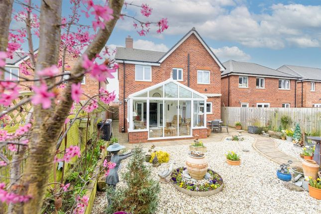 43 McKelvey Way, Crewe photo 3