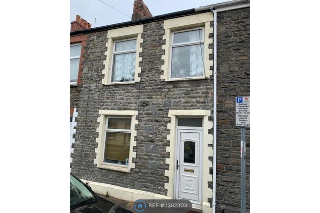 Thumbnail Terraced house to rent in Daniel Street, Cardiff