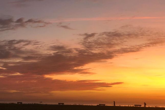 The Serpentine North