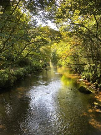 Fishing on the River Barle, Dulverton photo 2