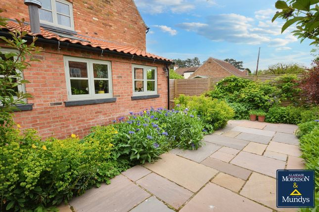 Side Garden