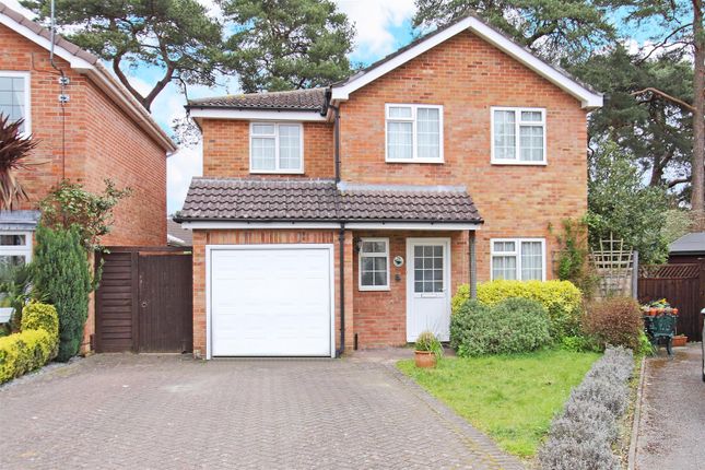 Thumbnail Detached house to rent in Blackbird Close, Poole