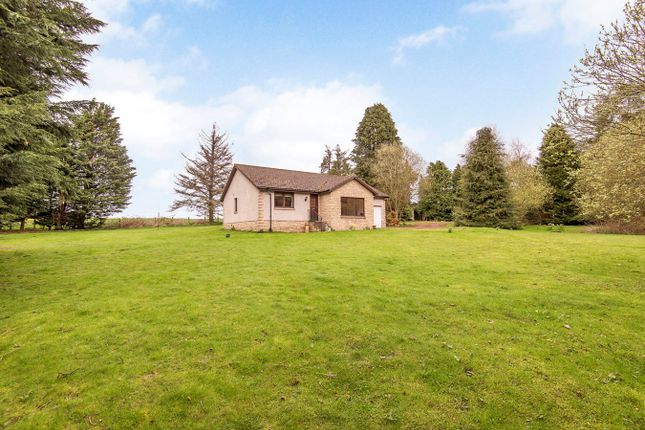 Thumbnail Detached bungalow for sale in Prior Muir, St Andrews