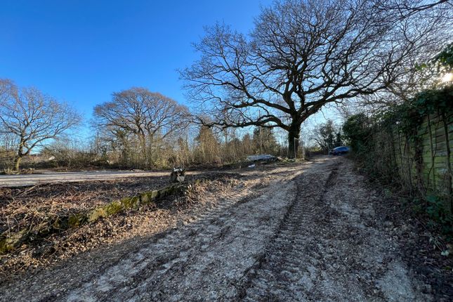 Land for sale in Holybread Lane, Little Baddow, Chelmsford, Essex