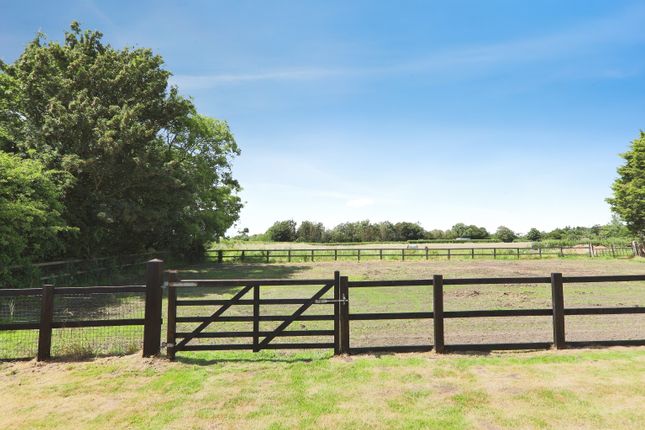 Lynter, Market Weighton Road, Brough photo 3