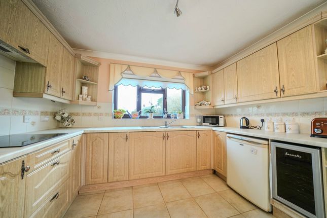 1 Livingstone Rise, Norwich photo 4