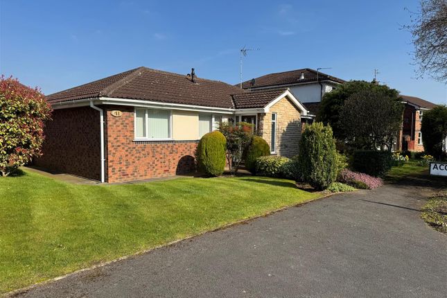 41 Beverely Rd - Blue Sky Shot.Jpg