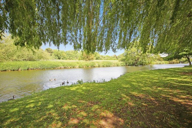 91, Rayford Park, Tiddington Road, Stratford-Upon-Avon photo 4
