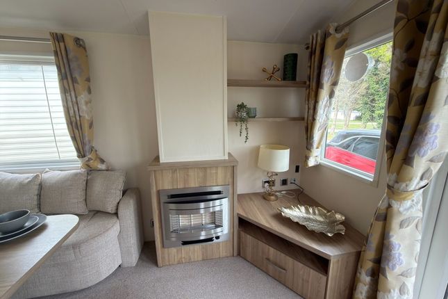 Trevella Holiday Park, Newquay photo 3