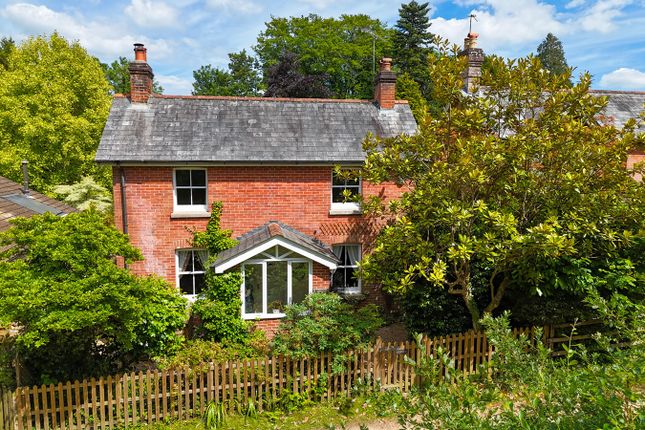 Thumbnail Cottage for sale in Church Lane, Burley, Ringwood