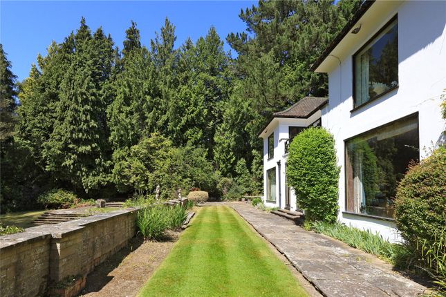 I-Ching,, Portnall Drive, Surrey photo 3