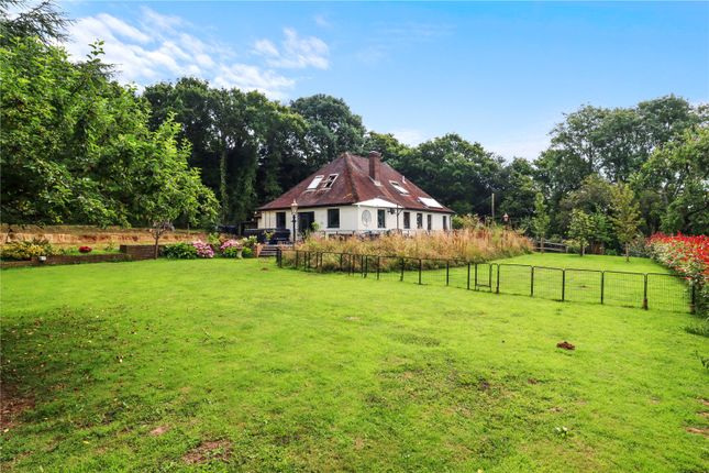 Thumbnail Detached house for sale in North Street, Hellingly, East Sussex