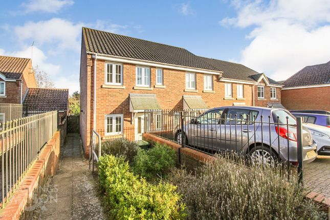 End terrace house to rent in Grebe Drive, Chedgrave, Norwich