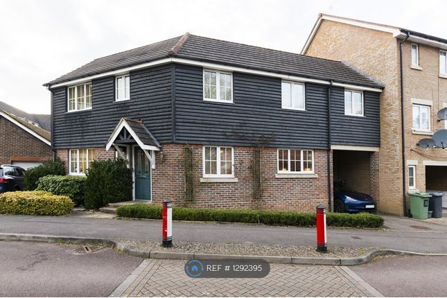 Thumbnail Detached house to rent in Richards Field, Chineham, Basingstoke