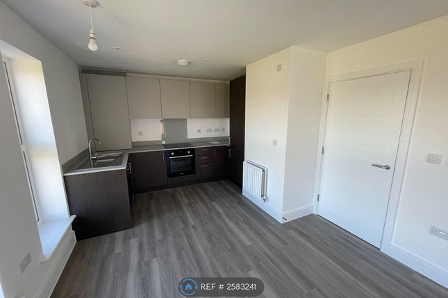 Kitchen/Lounge