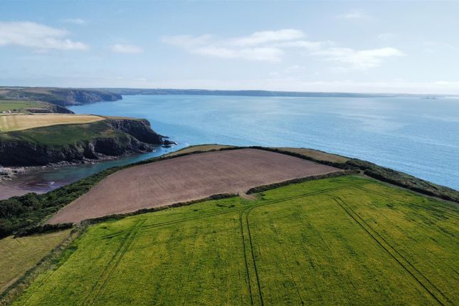 Dji_Fly_20250709_155636_357_1752073076539_Photo_Op