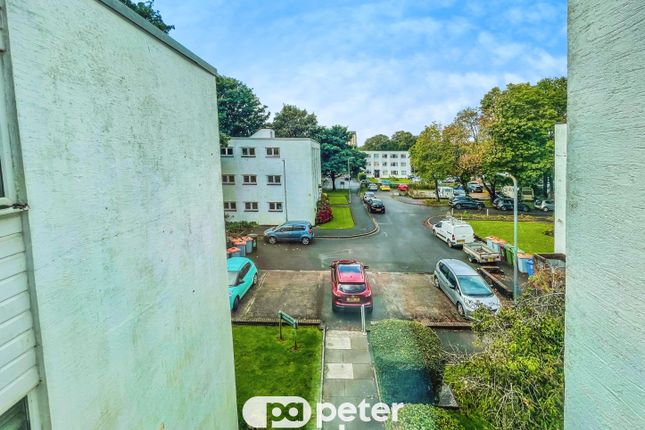 19, Llanishen photo 2