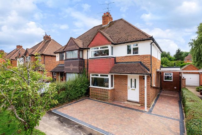 Thumbnail Semi-detached house to rent in Beech Grove, Guildford