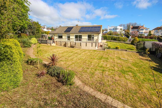 Thumbnail Bungalow for sale in Beer Road, Seaton, Devon