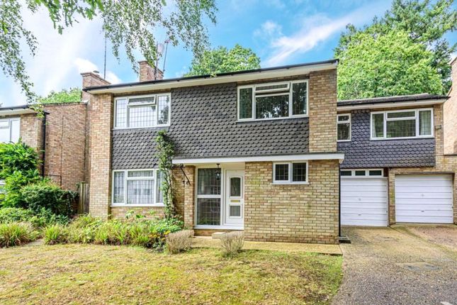 Detached house to rent in The Ridings, Frimley, Camberley