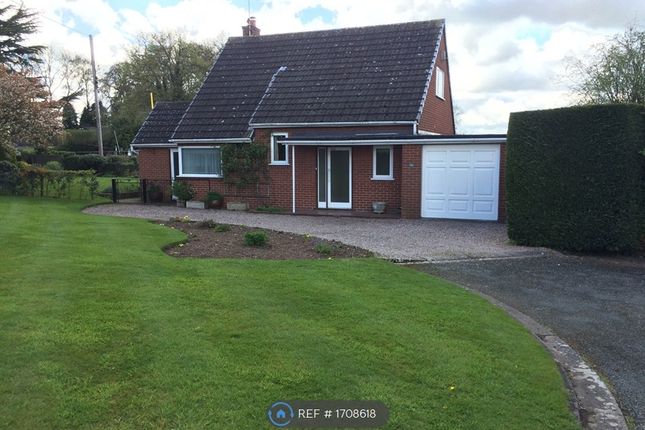 Thumbnail Bungalow to rent in Cheshire Street, Audlem, Crewe