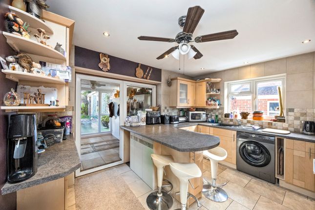 184 Mackie Avenue, Brighton photo 3