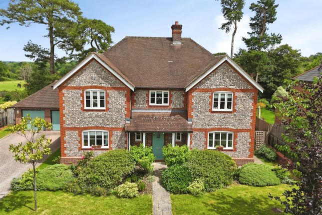 Birch House, Wield Road, Medstead photo 2