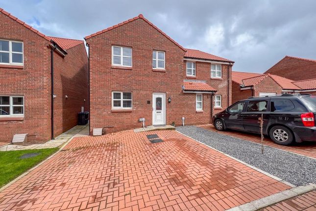 Thumbnail Semi-detached house to rent in Copper Beech Court, Berwick-Upon-Tweed