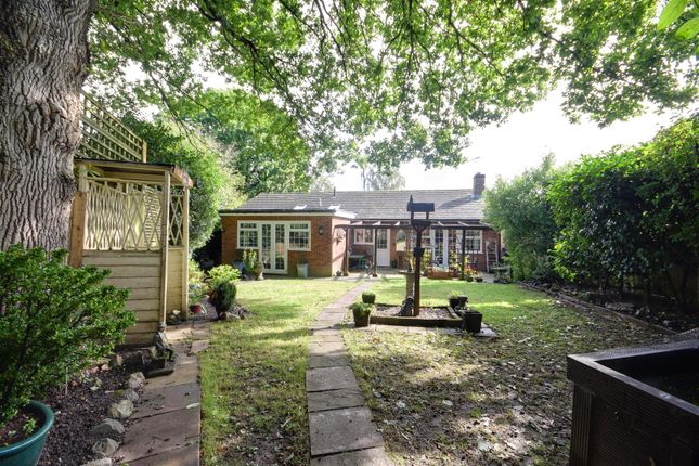 Detached bungalow for sale in North Ridge, Northiam, Rye