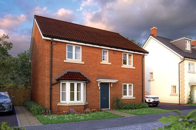 Thumbnail Detached house for sale in Orchard Grove, Comeytrowe, Taunton, Somerset
