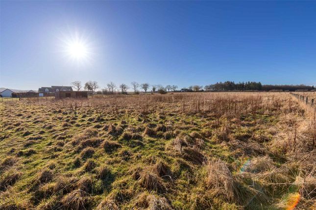 Detached house for sale in The Meadow, Whitelea Road, Burrelton, Blairgowrie