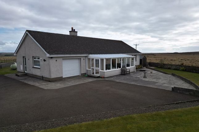 Thumbnail Detached bungalow for sale in Bower, Wick