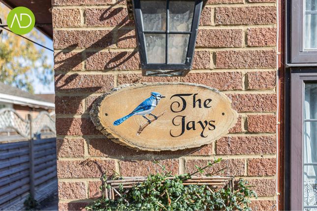 Jays, Avenue Road, Hoddesdon photo 2